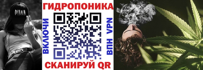 Конопля сатива  Верхний Уфалей 